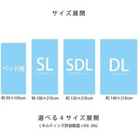 イケヒコ 敷き布団 滅ダニ セミダブルロング 1200×2100mm - 1202890025102 1枚（直送品）
