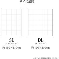 イケヒコ 羽毛掛布団 ローゼ ダブルロング 1900×2100mm ピンク 1202471222402 1枚（直送品）