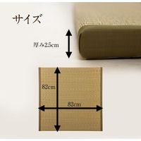 イケヒコ 脱衣畳 820×820mm 1360150010101 1枚（直送品）