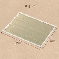 イケヒコ 頭さらっとインナー枕パッド 250×350mm 1360120010101 1セット(2枚入)（直送品）