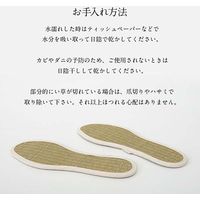 イケヒコ・コーポレーション 足さらっとインソールPro 22cm 1360100010201 1枚（直送品）