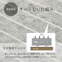 イケヒコ 貼る畳 670×670mm 1111271010601 1枚（直送品）