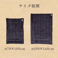 イケヒコ・コーポレーション カリス ひざ掛け BR 70×100cm 1220910061401 1枚（直送品）