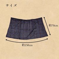 イケヒコ・コーポレーション カリス スカートブランケット BR フリーサイズ 1220910061591 1枚（直送品）