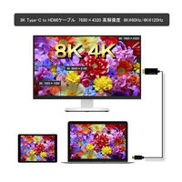 HDMI変換ケーブル 2m Type-C[オス]-HDMI[オス] 8K/60Hz VV-UCHD020-8UH-B ボーダビュー