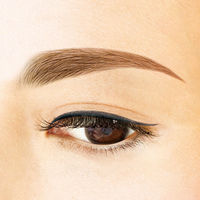 ブロウラッシュEX Wアイブロウ ペンシル&リキッド ナチュラルブラウン ウォータープルーフ 極細筆 BCL