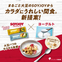 ソイジョイ　プラントベース　ホワイトチョコ＆レモン　1セット（48本）　栄養食品　低GI食品　大塚製薬