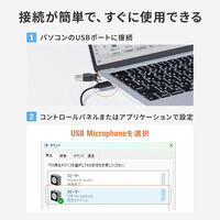 サンワサプライ  USBハンドセット MM-HSTC08BK（直送品）