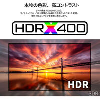 ジャパンネクスト 75インチ 液晶ディスプレイ 3840x2160 IPS HDMIx3 USB 5年保証 JN-IPS75U-M-H5（直送品）