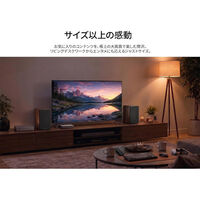 ジャパンネクスト 50インチ 4K液晶ディスプレイ 3840x2160 VA HDMIx3 5年保証 JN-V50U2-M-H5（直送品）