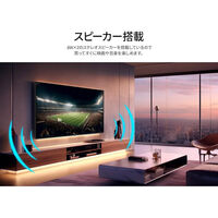 ジャパンネクスト 75インチ 4K液晶ディスプレイ 3840x2160 VA HDMIx3 2年保証 JN-V750U2-M（直送品）