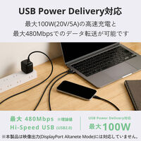 タイプCケーブル USB-C to C 2本セット 1ｍ 100W 高速充電 黒 MPA-CCECSS10BB エレコム 1個（直送品）