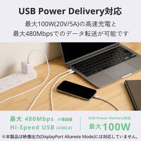 タイプCケーブル USB-C to C 2本セット 1ｍ 100W 高速充電 白 MPA-CCECSS10WW エレコム 1個（直送品）