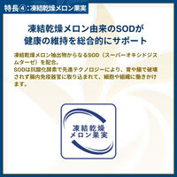 ベッツソリューション 猫用 皮膚サポート 猫用療法食 2kg 1袋 キャットフード VetSolution 正規品