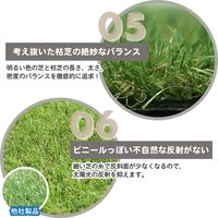 ユニオンビズ 高級人工芝　メモリーターフスウィート 20mm 32-9016 1ロール（直送品）