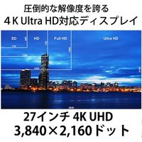 ジャパンネクスト 27インチ ワイド 4K液晶ディスプレイ JN-IPS2705UHDR 1個（直送品）