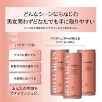 【エナジードリンク】富永貿易 サバイバー エナジードリンク 250ml 1セット（6缶）