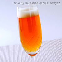 ジンジャーシロップ　有機コーディアルジンジャー　500ml ユウキ食品