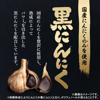 熟成黒にんにく 黒酢もろみ約30日分（90粒入り） 1セット（3袋） サプリメント 【小林製薬の栄養補助食品】