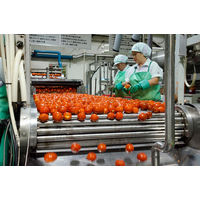 ゴールドパック 信州安曇野 トマトジュース 食塩無添加 190g 1箱（30缶入）【野菜ジュース】