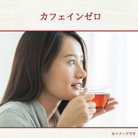 【水出し可】 伊藤園 お徳用 ヘルシールイボスティー ティーバッグ 1袋（100バッグ入）