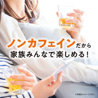 ブレンディ ザリットル ルイボスティー 1L用 1箱（6本入）味の素AGF