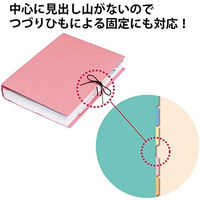コクヨ カラー仕切カードPP(ファイル用)A4縦 2穴 1 シキ-P80 1組