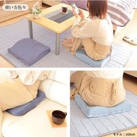 1枚 接触冷感 腰楽 クッション 低反発 ネイビー 約40×40×3.5cm ひんやり クール 座布団 シートクッション 冷たい 腰痛（直送品）