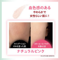 常盤薬品工業 毛穴パテ職人 カラールースパウダー 02 4964596700217 6個（直送品）