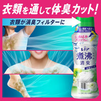 レノア 超消臭 抗菌ビーズ ウォータリーグリーン 本体 特大 720mL 1箱（6個入） 抗菌 P＆G