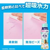 レノア 超消臭 煮沸レベル消臭 抗菌ビーズ 部屋干し 花とおひさまの香り 詰め替え 特大 1040mL 1個 抗菌 P＆G
