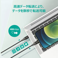 USBケーブル Type-C 60W 急速充電対応 Impulse Braided 2m ブラック CB-CC20 1個