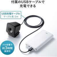 サンワサプライ ワイヤレスWEBカメラ CMS-V65BK 1個
