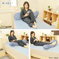 クリエイトアルファ 1個 接触冷感 抱き枕(大) 4582243750493-NB-1（直送品）