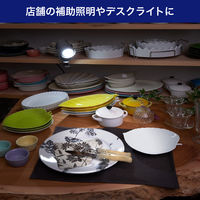 朝日電器 クリップライト SPOT-BNER40C(SL) 1個