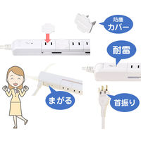 延長コード 電源タップ 2P式 2m 4個口 USB2ポート スリム回転タップ USB急速充電 雷ガード 朝日電器（ELPA） WBS-SL402USB(W)