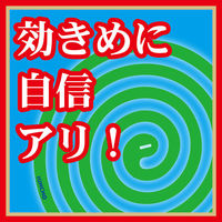 金鳥の渦巻 大型 12時間用  1缶（40巻入） 蚊取り線香 蚊 駆除剤 大日本除虫菊 金鳥 キンチョー キンチョウ（わけあり品）