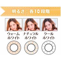 【ギフト包装・2個セット】　ビーサイレンス　フリーダムライティングスタンド　22-0623-023　（直送品）