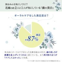 アパガード プレミオ プレミアムタイプ 105g ホワイトニング 美白歯磨き粉 1個 サンギ