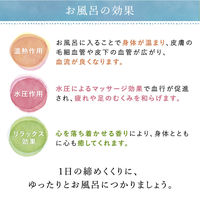 汗かきエステ気分 スキンケアローズ 500g 2個 マックス (透明タイプ)