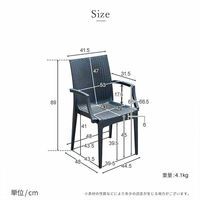 三栄コーポレーション 屋外設置、水洗い可能 ラタン調ガーデンチェア 肘付き4脚セット A1--PYXARMCHR4S_AS　１セット(４脚）（直送品）