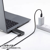 サンワサプライ ワイヤレスHDMIエクステンダー VGA-EXWHD10 1個（直送品）