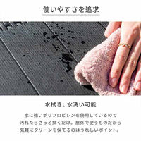 三栄コーポレーション 屋外設置、水洗い可能 ラタン調ガーデンテーブル・肘付きチェア　7点セット A1--PYXARM150TBL7_AS（直送品）