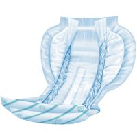 王子ネピア株式会社 ネピアテンダーエクストラお肌・安心パッド 多い+（プラス） 48530 1箱（120枚：30枚入×4パック）