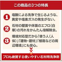 ビアンコジャパン 墓石・御影石汚れ解消2点セット gs-101_set300_cha 1セット