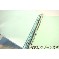 コクヨ クリヤーブック替紙 B4S ラ-884NM 1セット(10枚入)