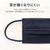 MSソリューションズ 不織布マスク ウルトラシルキー ネイビー ふつうサイズ(個包装) 50枚入り PL-FM03NVU50E 5箱