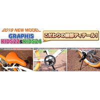 池商 クロスバイク 6SP GR-001K24-BKBL（直送品）