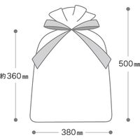 ヘッズ オーガンジーバッグ/シャンパンゴールド-XL OGC-BXL 1セット(1袋(10枚)×5)