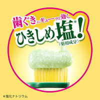 ディープクリーン ひきしめ塩 薬用ハミガキ 100g 1セット（2本） 花王 歯磨き粉 歯周病・口臭予防